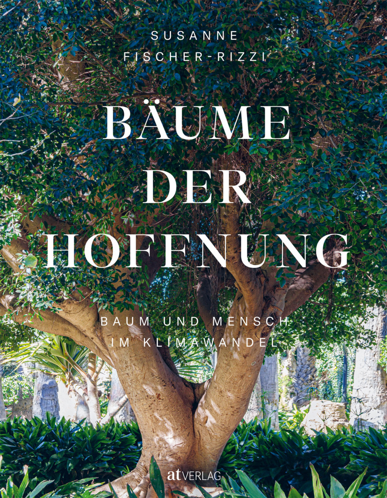 You are currently viewing Bäume der Hoffnung