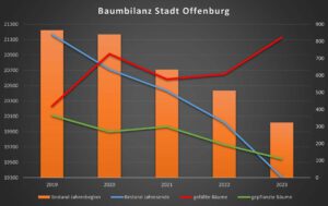 Mehr über den Artikel erfahren Baumbilanz Offenburg (Vorlage 135/23)