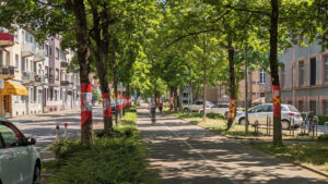 Mehr über den Artikel erfahren Ökosystemleistungen von Stadtbäumen