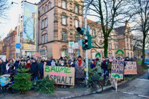 Read more about the article Offenburgs Bäume im Würgegriff der Stadtentwicklung – Ein Herzschlag zwischen Hoffnung und Verlust