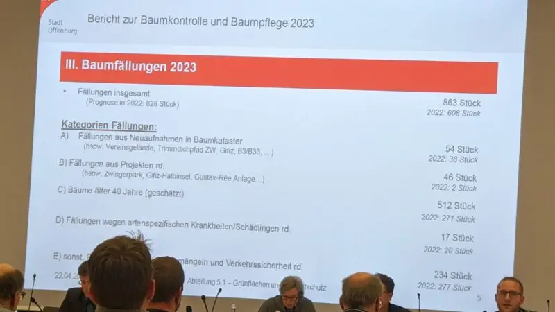 In einem Besprechungsraum wird eine Folie in deutscher Sprache über Baumbeseitigungen im Jahr 2023 projiziert, wobei die Teilnehmer mit Blick auf die Leinwand sitzen. Die Folie listet Daten und Kategorien für Baumbeseitigungen in Offenburg auf.
