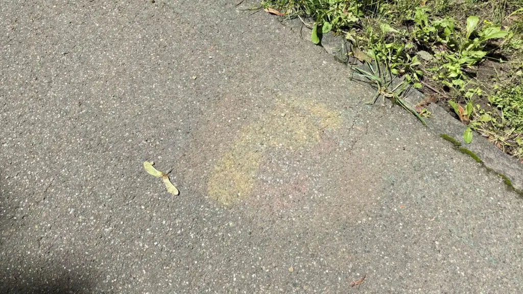 Ein verblasster Kreideregenbogen ist auf einem grauen Bürgersteig neben grünem Gras und einer in der Nähe liegenden zweiflügeligen Samenkapsel zu sehen. Das Sonnenlicht wirft subtile Schatten auf den Gehweg.