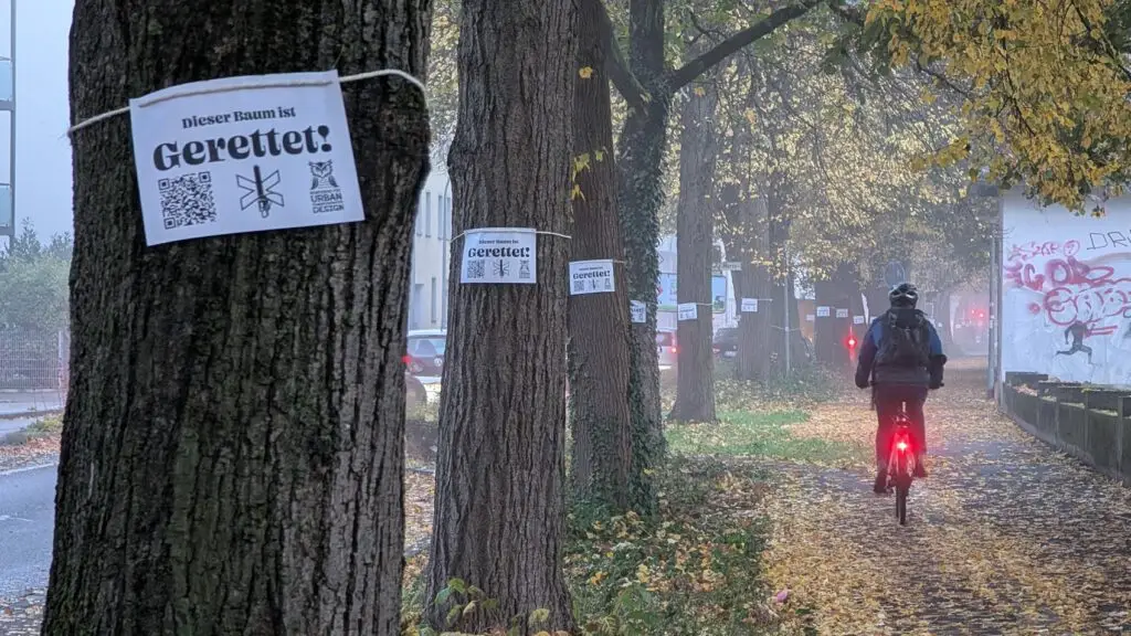 An mehreren Bäumen entlang eines mit Laub bedeckten Bürgersteigs stehen Schilder mit der Aufschrift Dieser Baum ist gerettet! Im dunstigen Hintergrund fährt ein Radfahrer davon, und man sieht Herbstlaub und parkende Autos.