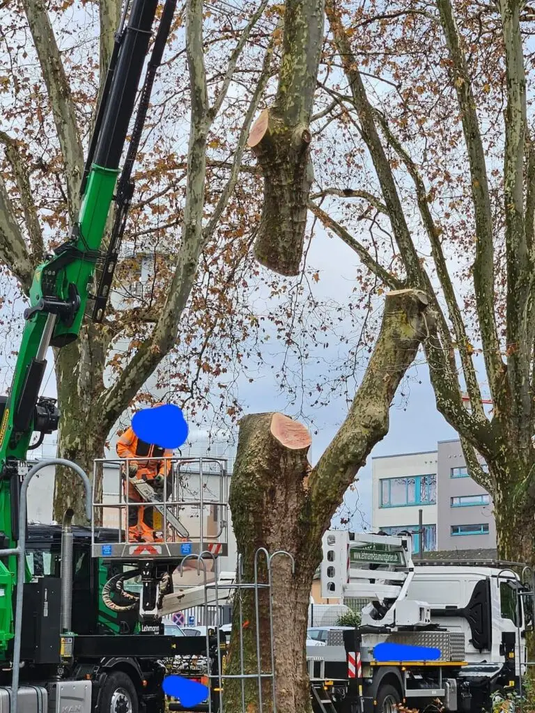 Mehr über den Artikel erfahren Muss der Gemeinderat jetzt handeln?