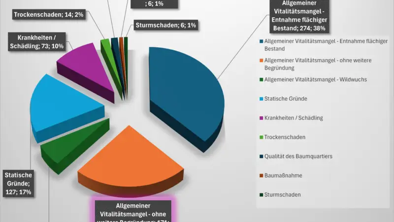 Ein 3D-Kuchendiagramm mit dem Titel Baumfällungen 2024/25 zeigt die Gründe für die Fällung von Bäumen, mit Abschnitten für Vitalitätsverlust, Statik, Krankheiten/Schädlinge, Trockenheit, Qualität, Sturmschäden und Bauarbeiten, jeweils in verschiedenen Farben.