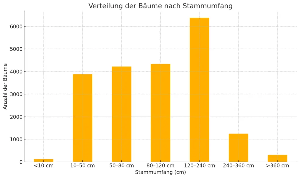 Balkendiagramm, das die Verteilung der Bäume nach Stammumfang in Zentimetern zeigt. Die meisten Bäume fallen in die Kategorie 120-240 cm, gefolgt von 80-120 cm und 10-50 cm. Nur sehr wenige Bäume fallen in die Kategorien 360 cm.