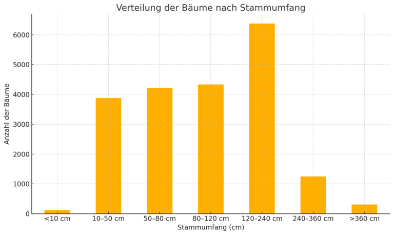 Mehr über den Artikel erfahren Die Bäume Offenburgs im Fokus: Verteilung und geschätztes Alter des Baumbestands