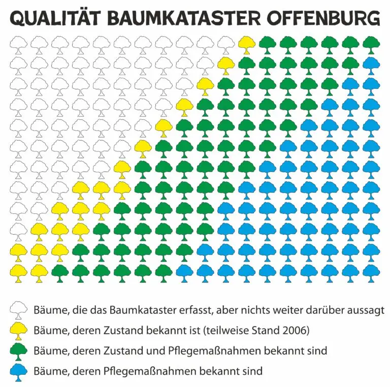 Mehr über den Artikel erfahren Baumkataster Offenburg: Ein System mit Lücken – Warum die Pflege des Grünraums ins Hintertreffen gerät