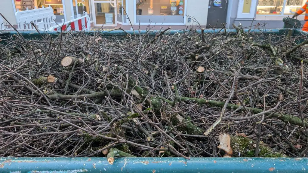 Ein großer Metallbehälter, gefüllt mit abgeschnittenen Ästen und Zweigen. Im Hintergrund sind Schaufenster und eine Person mit einer orangefarbenen Weste zu sehen, die teilweise auf der rechten Seite zu sehen ist.