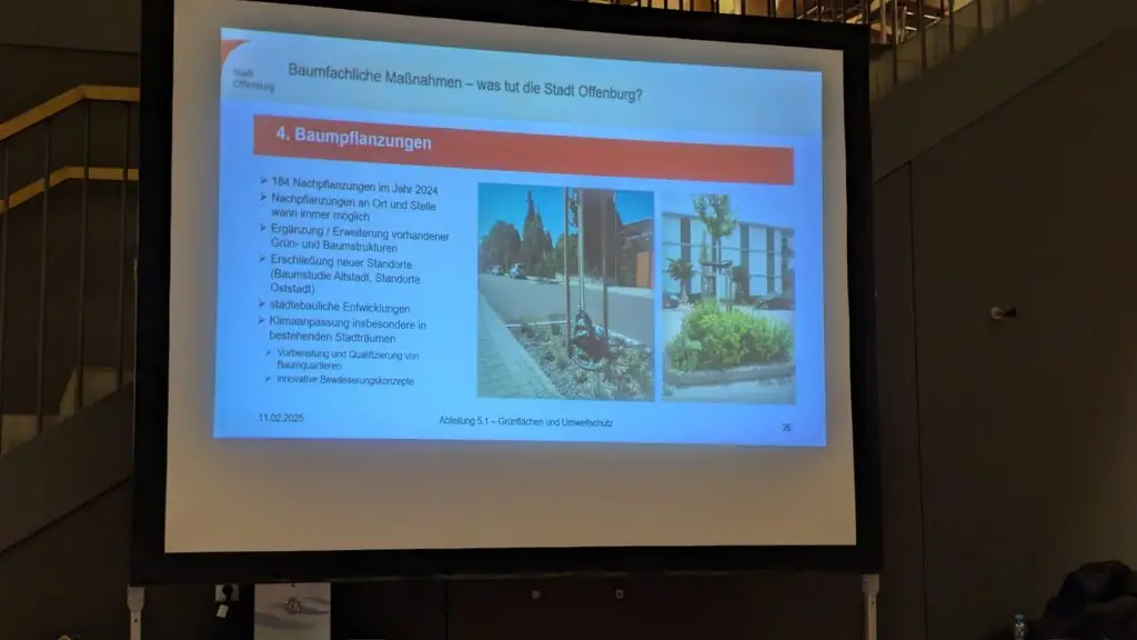 Auf einer Leinwand wird eine Präsentation über Baumpflanzungsmaßnahmen in Offenburg mit deutschem Text, Aufzählungspunkten und drei Fotos projiziert, die neu gepflanzte Bäume entlang städtischer Straßen zeigen.