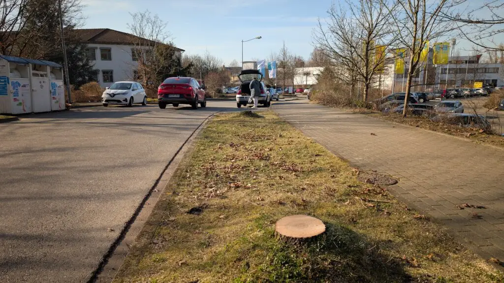 Ein Baumstumpf in einem Grünstreifen neben einem Bürgersteig, mit geparkten und fahrenden Autos auf einer sonnigen Straße. Im Hintergrund sind blattlose Bäume und Gebäude zu sehen.