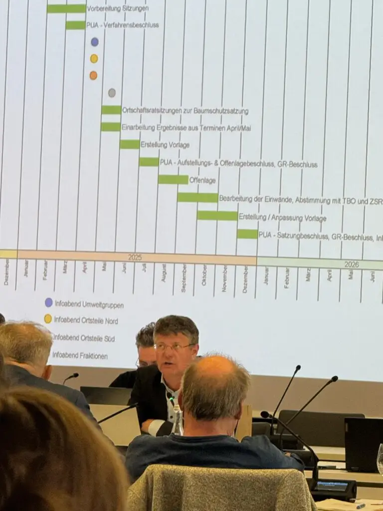 Mehr über den Artikel erfahren Baumschutzsatzung: Entscheidung vertagt – Chance für zukunftsfähigen Kurs