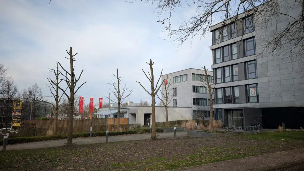 Ein modernes graues Gebäude mit großen Fenstern steht neben einer Reihe von blattlosen, beschnittenen Bäumen. Im Hintergrund sind rote Fahnen und ein weiteres Gebäude unter einem bewölkten Himmel zu sehen. Der Boden vor dem Gebäude besteht größtenteils aus kahlem Boden mit etwas Gras.