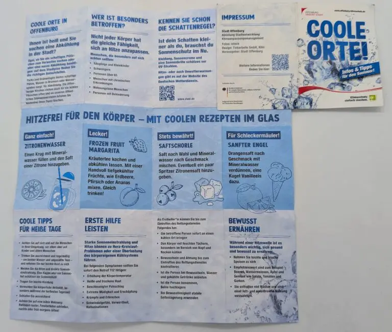 Mehr über den Artikel erfahren 7 Forderungen für ein klimaresilientes Offenburg