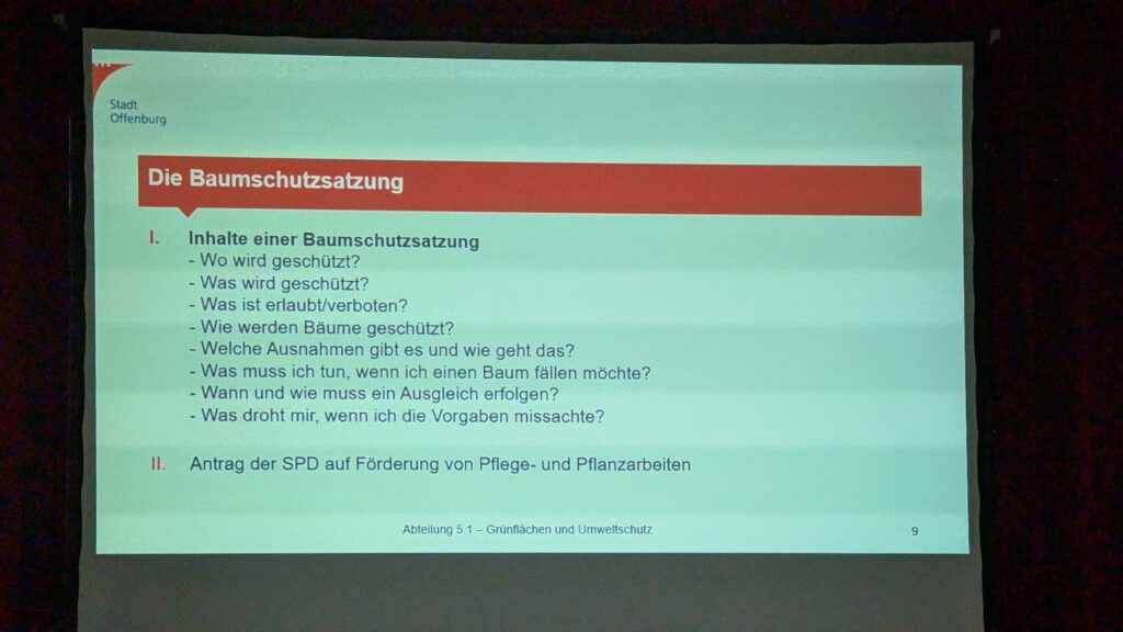 Eine Präsentationsfolie mit dem Titel "Die Baumschutzsatzung" listet die wichtigsten Punkte der Baumschutzsatzung auf, z. B. was geschützt, erlaubt und ausgenommen ist, und erwähnt einen SPD-Vorschlag zur Unterstützung von Pflege und Pflanzung.