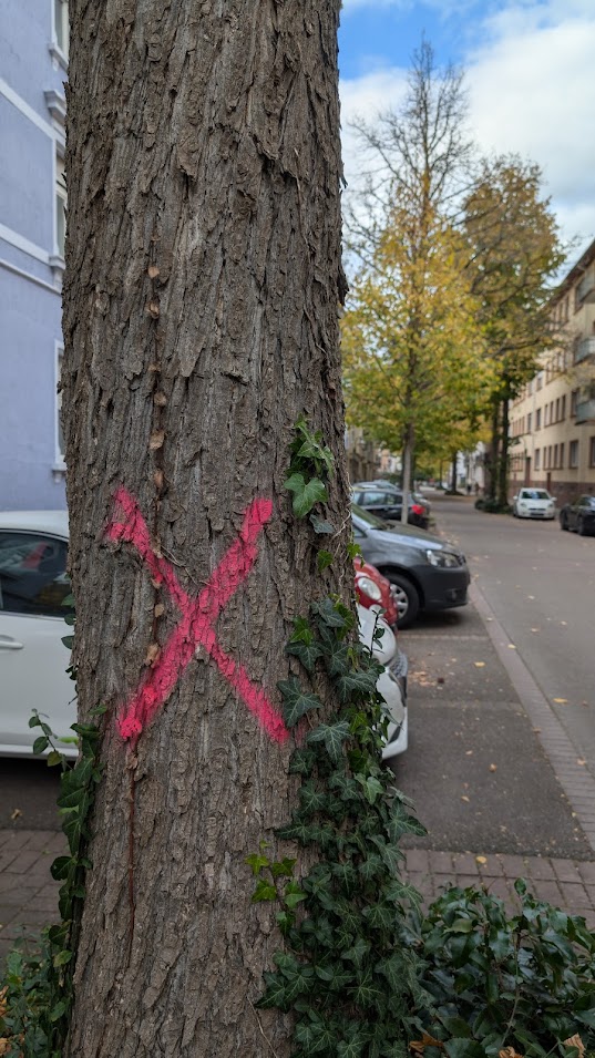 Ein Baumstamm, auf den ein großes rosafarbenes X aufgesprüht ist, steht an einer Straße, die von parkenden Autos und Gebäuden gesäumt ist. Efeu klettert an der Basis des Baumes empor, und im Hintergrund sind Herbstbäume zu sehen.