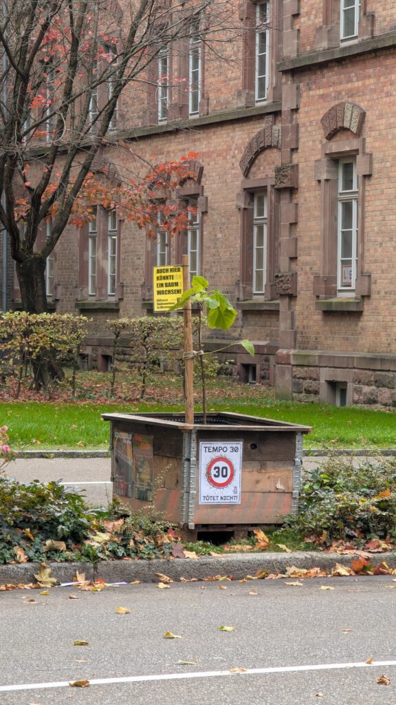 Am Straßenrand steht ein kleiner Holzkübel mit einem jungen Baum. An ihm sind Schilder mit einer Geschwindigkeitsbegrenzung von 30 km/h und einer Warnung in deutscher Sprache angebracht. Im Hintergrund sind Herbstlaub und ein altes Backsteingebäude zu sehen.
