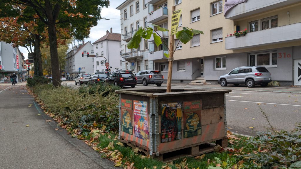 Ein junger Baum wächst aus einem hölzernen Pflanzkasten auf einem städtischen Gehweg, umgeben von geparkten Autos und Wohnhäusern. Der Kasten ist mit bunten Postern beklebt, und auf dem Boden liegen Herbstblätter verstreut.