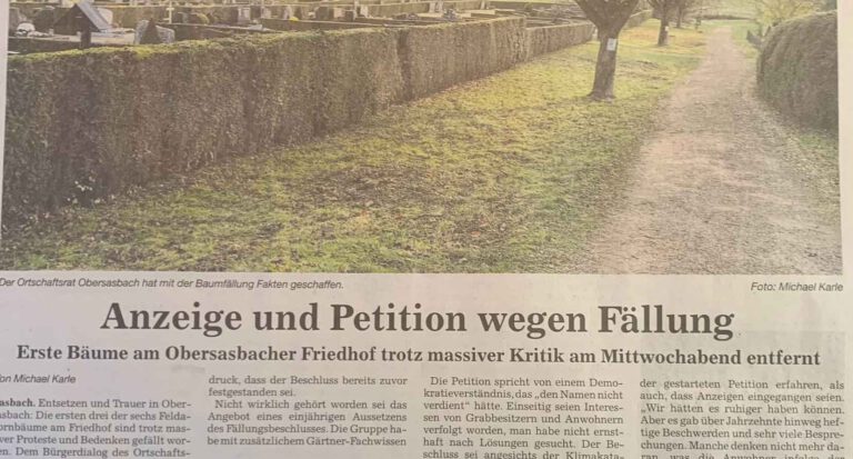 Mehr über den Artikel erfahren Die Hälfte der kleinen Allee ist unwiderruflich gefällt