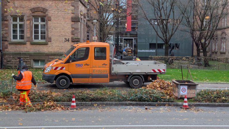 Mehr über den Artikel erfahren Wenn Laub zur Last wird – und warum wir jetzt erst recht Bäume brauchen
