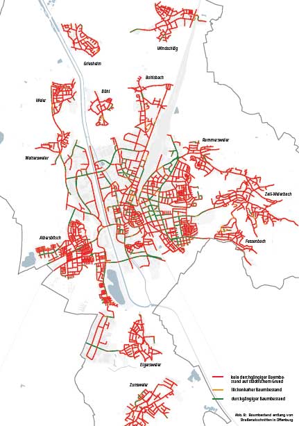 Mehr über den Artikel erfahren Stadtbaumkonzept Offenburg: Gut gedacht – und jetzt verbindlich machen