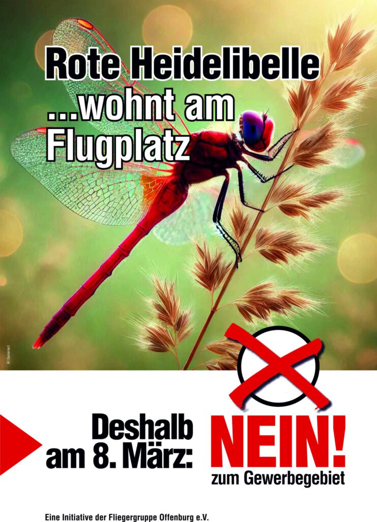 Eine rote Libelle sitzt auf einem Grashalm mit einem deutschen Text, der vor der Erschließung eines Industriegebiets auf einem Flugplatz warnt und dazu auffordert, am 8. März mit NEIN zu stimmen.
