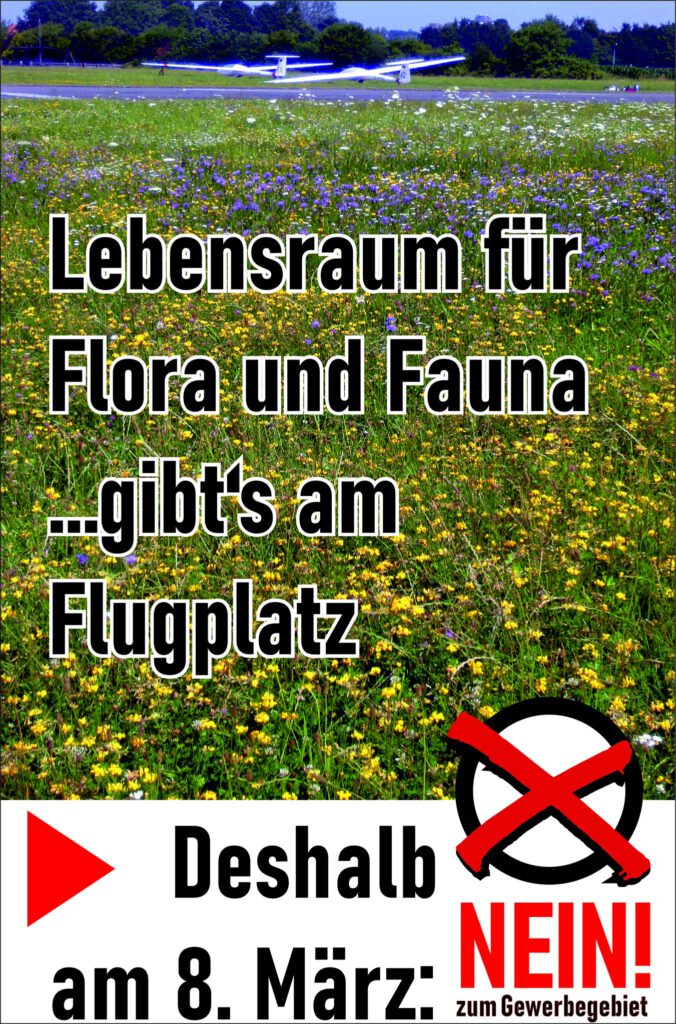 Ein kleines Flugzeug auf einem gras- und blumenbewachsenen Flugplatz. Der deutsche Text lautet: Lebensraum für Flora und Fauna... gibts am Flugplatz. Deshalb NEIN! am 8. März: zum Gewerbegebiet, mit der Aufforderung, gegen die Bebauung zu stimmen.