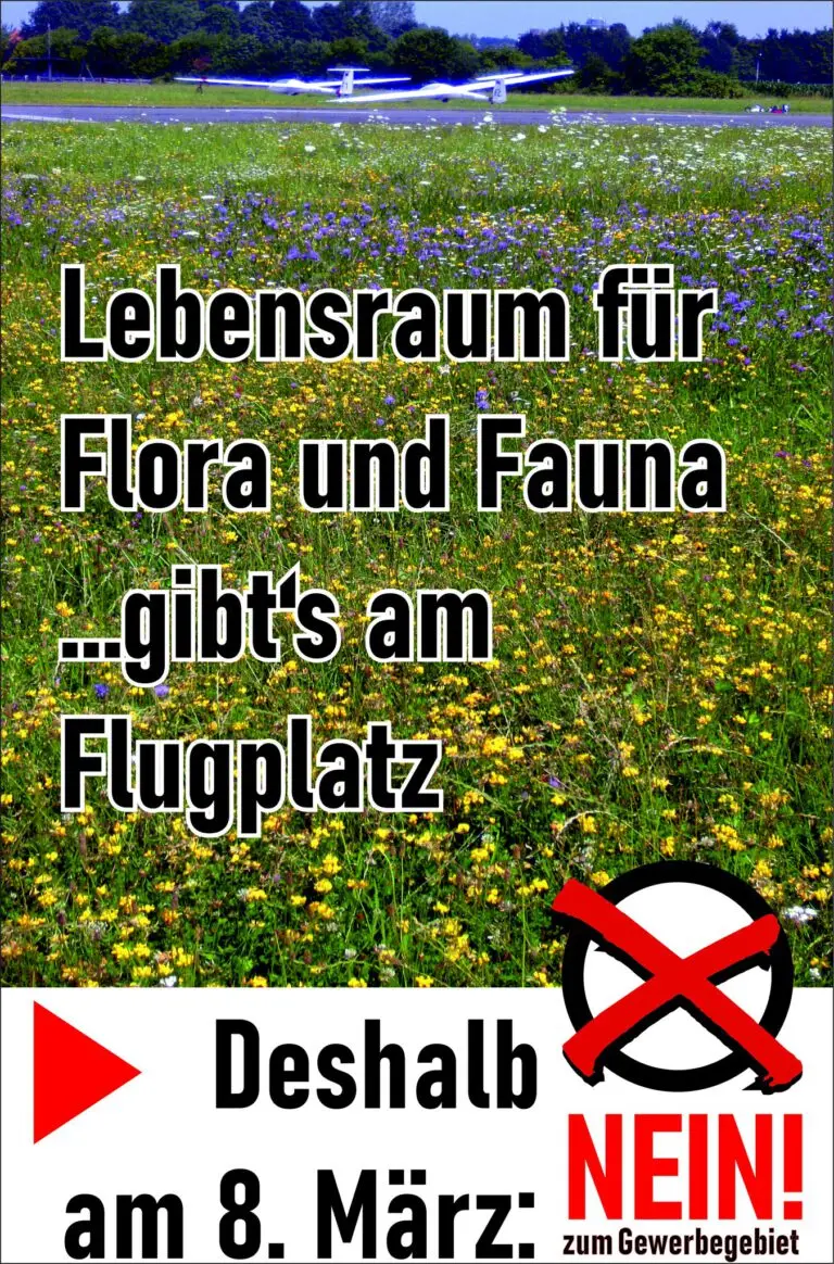 Mehr über den Artikel erfahren Perspektive für Firmen – aber zu welchem Preis?