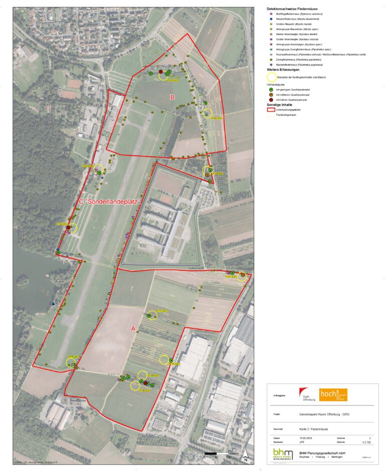 Mehr über den Artikel erfahren Flugplatz – Was sagt das Artenschutz-Gutachten wirklich?
