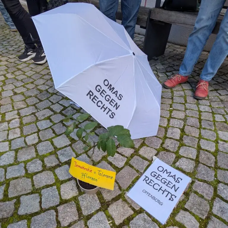 Mehr über den Artikel erfahren Omas gegen Rechts – Treffen