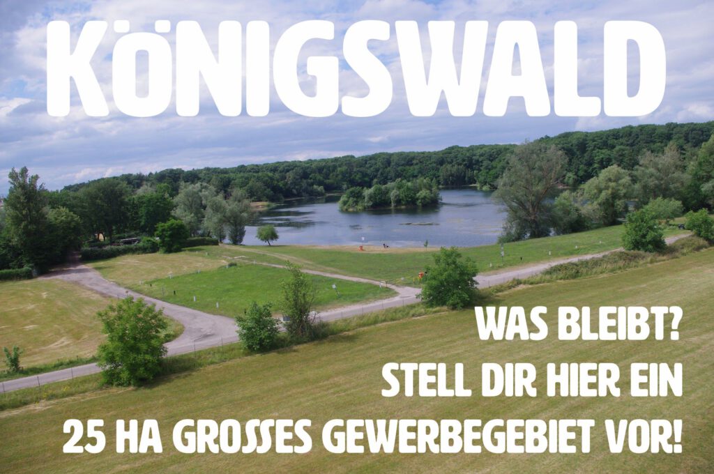 Blick auf eine grüne Seelandschaft mit grasbewachsenen Feldern, Bäumen und einem Teich unter einem teilweise bewölkten Himmel. Ein großer weißer deutscher Text überlagert das Bild, in dem "Königswald" und ein geplantes 25 Hektar großes Gewerbegebiet erwähnt werden.