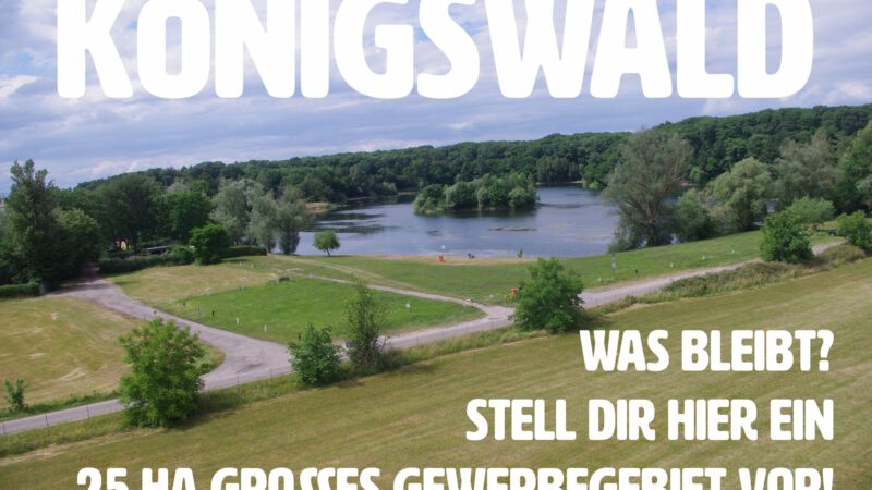 Blick auf eine grüne Seelandschaft mit grasbewachsenen Feldern, Bäumen und einem Teich unter einem teilweise bewölkten Himmel. Ein großer weißer deutscher Text überlagert das Bild, in dem "Königswald" und ein geplantes 25 Hektar großes Gewerbegebiet erwähnt werden.