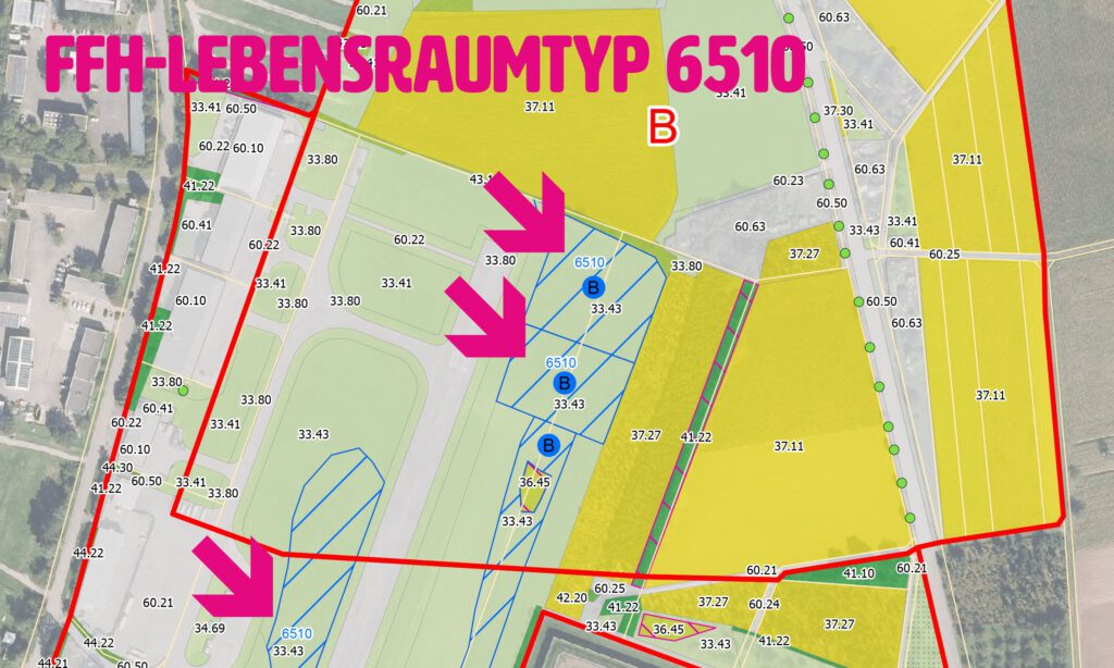 Eine digitale Karte hebt die gelb markierten Gebiete mit dem fetten rosa Text FFH-LEBENSRAUMTYP 6510 hervor. Drei große rosafarbene Pfeile zeigen auf blau umrandete Flächen mit der Bezeichnung 6510 innerhalb eines grünen Gebiets mit der Bezeichnung B.