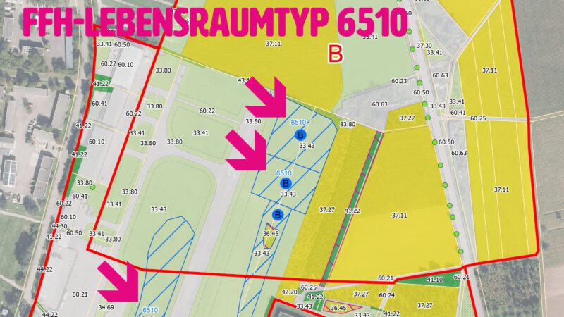 Eine digitale Karte hebt die gelb markierten Gebiete mit dem fetten rosa Text FFH-LEBENSRAUMTYP 6510 hervor. Drei große rosafarbene Pfeile zeigen auf blau umrandete Flächen mit der Bezeichnung 6510 innerhalb eines grünen Gebiets mit der Bezeichnung B.