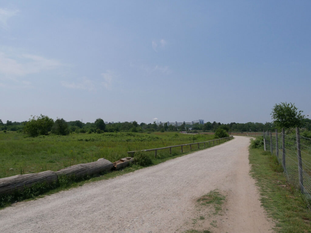 Ein Schotterweg führt durch ein grünes Feld mit vereinzelten Bäumen unter einem klaren blauen Himmel. Ein Drahtzaun säumt die rechte Seite des Weges, auf der linken Seite liegen Baumstämme. In der Ferne sind schwach Gebäude zu erkennen.