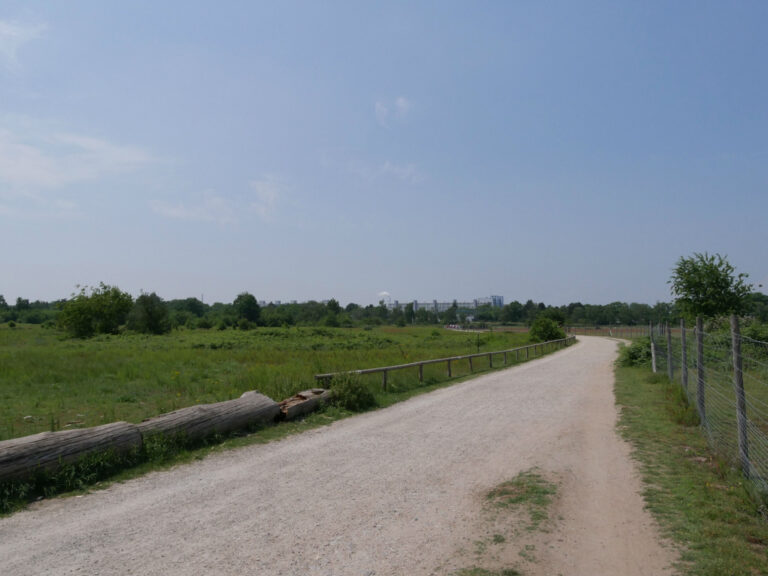 Mehr über den Artikel erfahren Es lohnt sich, sich einzumischen – Karlsruhe zeigt, warum Offenburg jetzt zählt