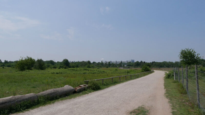Ein Schotterweg führt durch ein grünes Feld mit vereinzelten Bäumen unter einem klaren blauen Himmel. Ein Drahtzaun säumt die rechte Seite des Weges, auf der linken Seite liegen Baumstämme. In der Ferne sind schwach Gebäude zu erkennen.