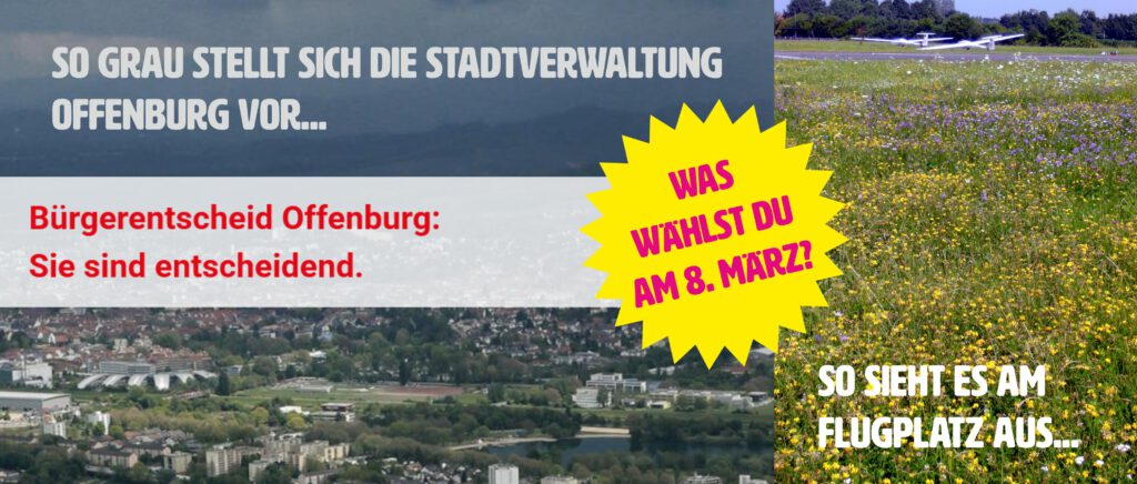 Das Bild kontrastiert ein tristes, graues Luftbild von Offenburg mit einem hellen, grünen Feld und Flugzeugen, mit einem fettgedruckten deutschen Text über eine Bürgerbefragung am 8. März und einem gelben Sternenhimmel mit der Frage: Was wählst du am 8. März?.