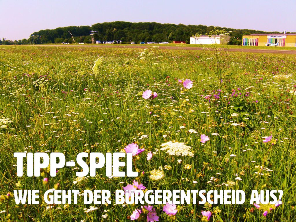 Eine Wildblumenwiese im Vordergrund mit einer Reihe von Gebäuden und Bäumen im Hintergrund. Der deutsche Text auf dem Bild lautet: Tipp-Spiel. Wie geht der Bürgerentscheid aus?.