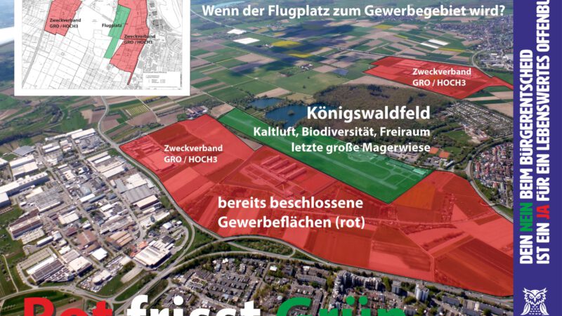 Luftbildkarte mit Hervorhebung der grünen und roten Zonen; rot sind die geplanten Industriegebiete mit der Bezeichnung "Zweckverband" und "bereits beschlossene Gewerbeflächen", während grün das "Königswaldfeld" markiert. Der Text warnt vor dem Verlust von Grünflächen durch Bebauung.