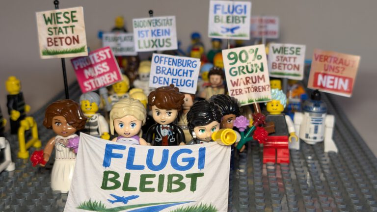 Mehr über den Artikel erfahren Bürgerentscheid zum Flugplatz: Offenburg entscheidet sich für Zukunft, Natur und Gemeingut