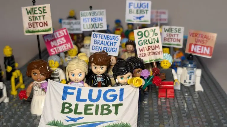Mehr über den Artikel erfahren Bürgerentscheid zum Flugplatz: Offenburg entscheidet sich für Zukunft, Natur und Gemeingut