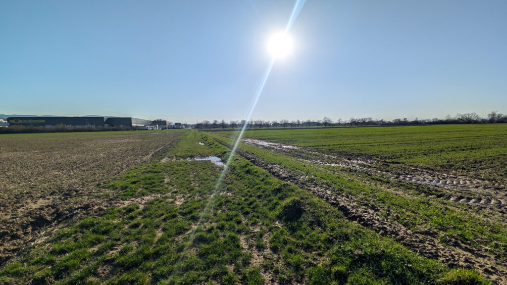 Ein sonniges Feld mit grünem Gras, schlammigen Reifenspuren und Pfützen unter einem klaren blauen Himmel. In der Ferne, jenseits des Randes der offenen Landschaft, sind Industriegebäude zu sehen.