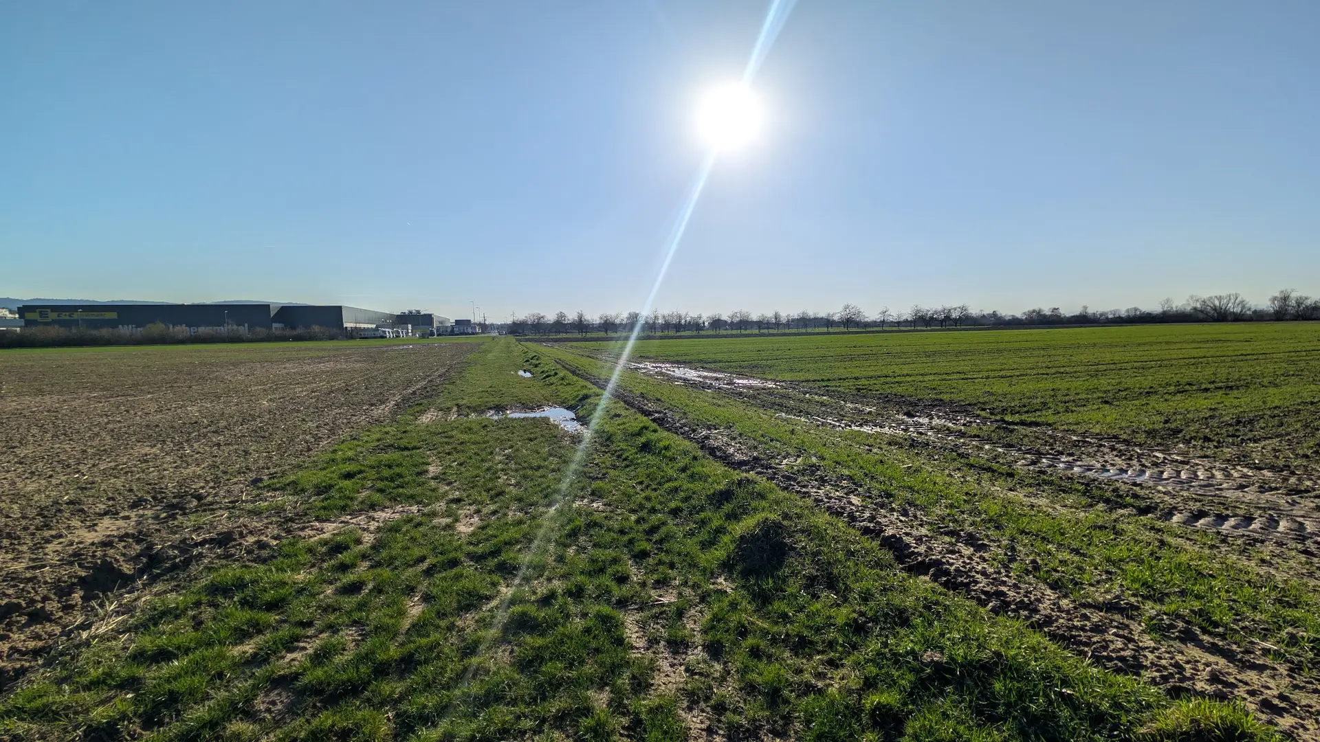 Eine helle Sonne scheint über eine ländliche Landschaft mit grünen und braunen Feldern, schlammigen Traktorreifenspuren und Wasserpfützen unter einem klaren blauen Himmel. Im fernen Hintergrund sind Industriegebäude zu sehen.