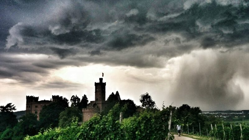 Dunkle Gewitterwolken ziehen über Schloss Ortenberg auf, die von grünen Weinbergen umgeben ist, während im Vordergrund eine Person einen Weg entlangläuft. Die Atmosphäre ist dramatisch und ahnungsvoll.