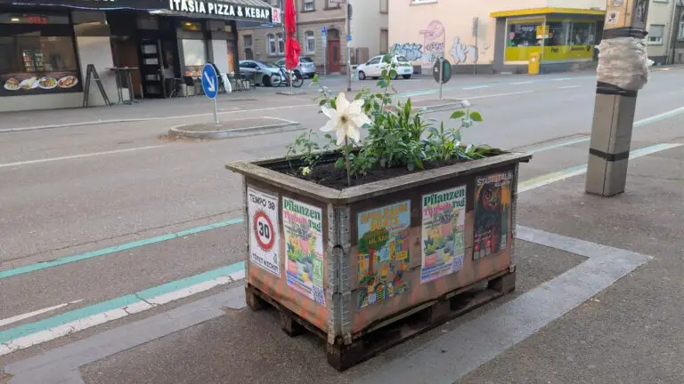 Mehr über den Artikel erfahren Wenn ein Hochbeet irritiert – Wem gehört die Straße?