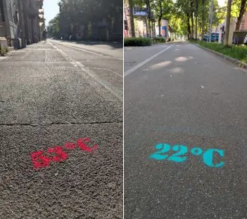 Mehr über den Artikel erfahren 31 Grad Unterschied – Was Straßenbäume wirklich leisten