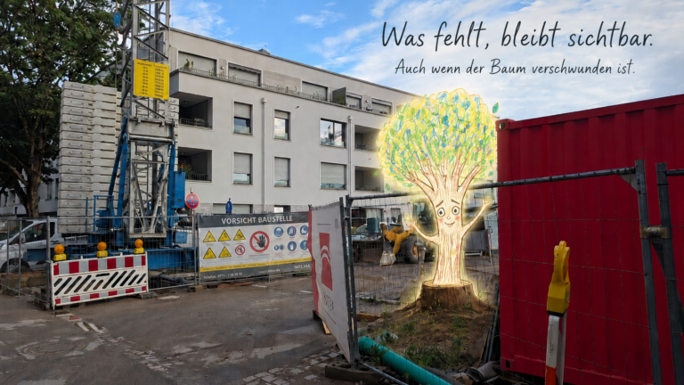 Mehr über den Artikel erfahren Der Zwiespalt der CDU: Alte Bäume sind unersetzlich – und trotzdem werden sie gefällt