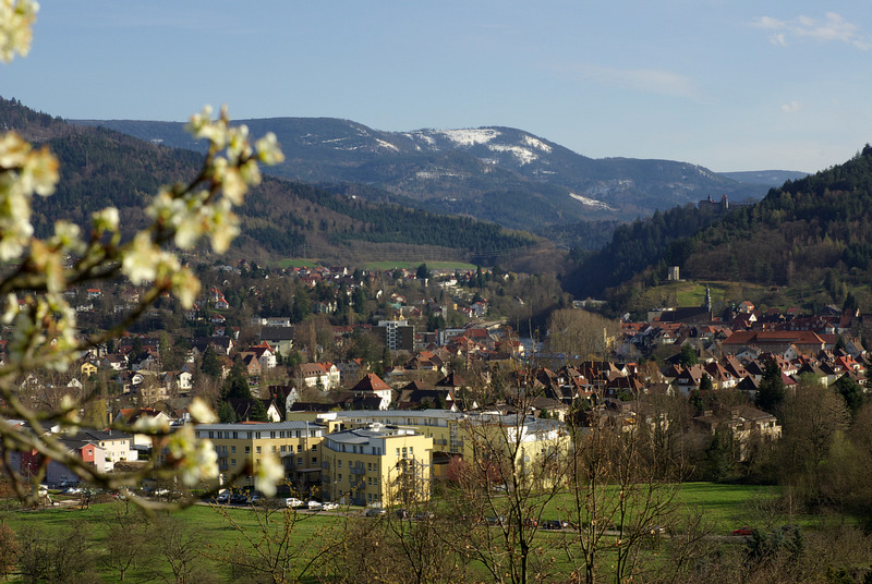 Ein malerisches Städtchen, eingebettet in ein grünes Tal, mit vereinzelten Häusern, einem gelben Gebäude, blühenden Ästen im Vordergrund und bewaldeten Bergen mit Schneeflecken im Hintergrund unter einem klaren Himmel.