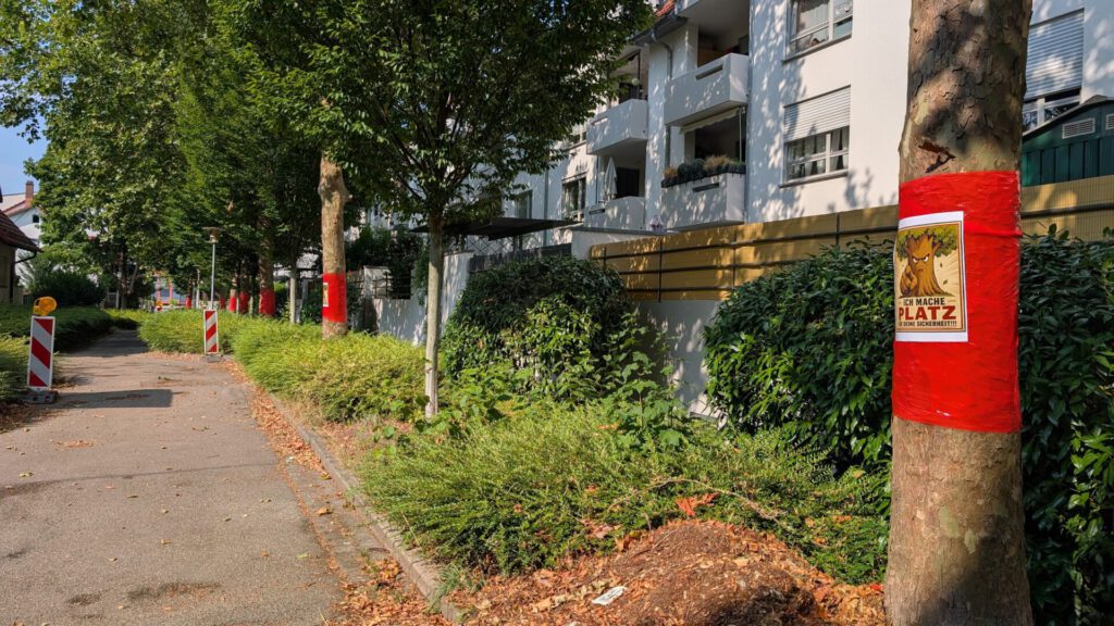 Residential street with a sidewalk, trees, and a tree wrapped in red tape displaying a poster; construction barriers along the path.